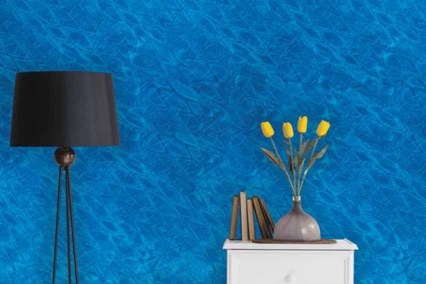 Blue Colour Wall Paint Design