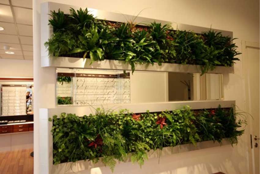 Plant Wall Kitchen Partition
