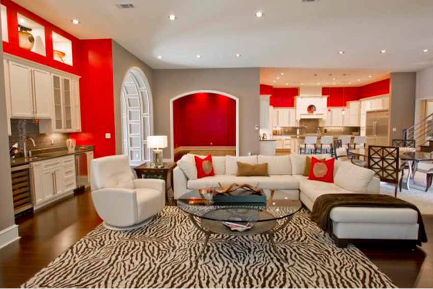 pure red color combinations for living hall